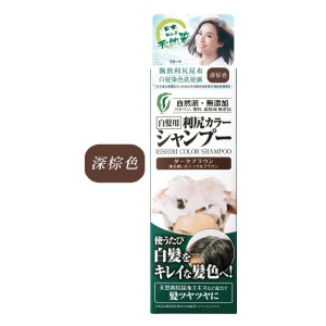 飄然 深棕色 尻昆布白髮染色洗髮露 200ml (4041)