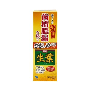 小林制藥 生葉牙齦緊緻牙膏100G -2752