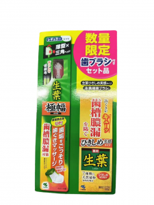 小林製藥-- 小林制藥 生葉牙齦緊緻牙膏100G + 牙刷套裝(顏色隨機)（4987072072752）